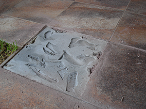 adhesive-stuck-to-tile-not-floor-35